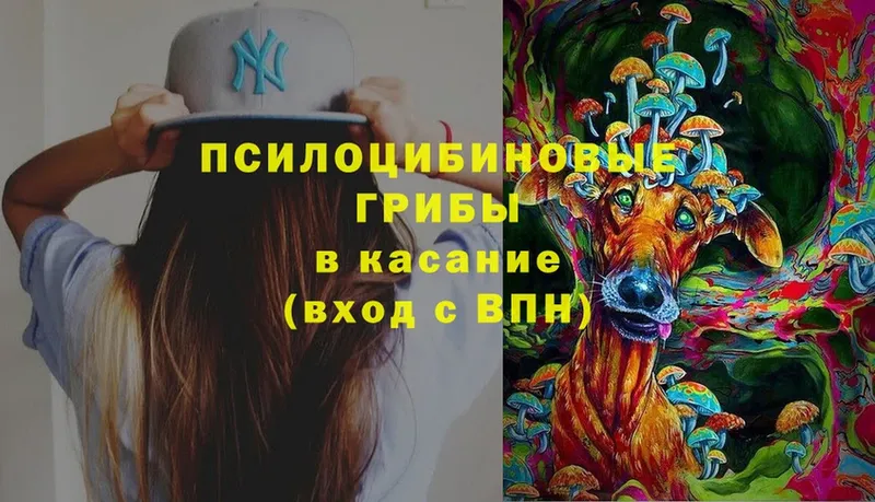 Галлюциногенные грибы Magic Shrooms  Бологое 